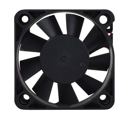 SHEHDS Dual Hole RG & RGB Laser Light