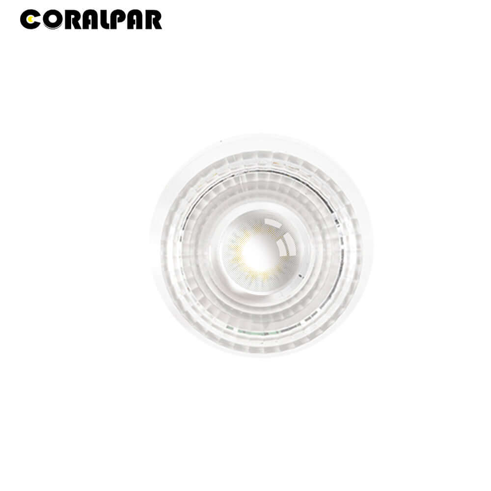 CORALPAR Waterproof LED COB 200W Cool White & Warm White Par Light Aluminum Alloy
