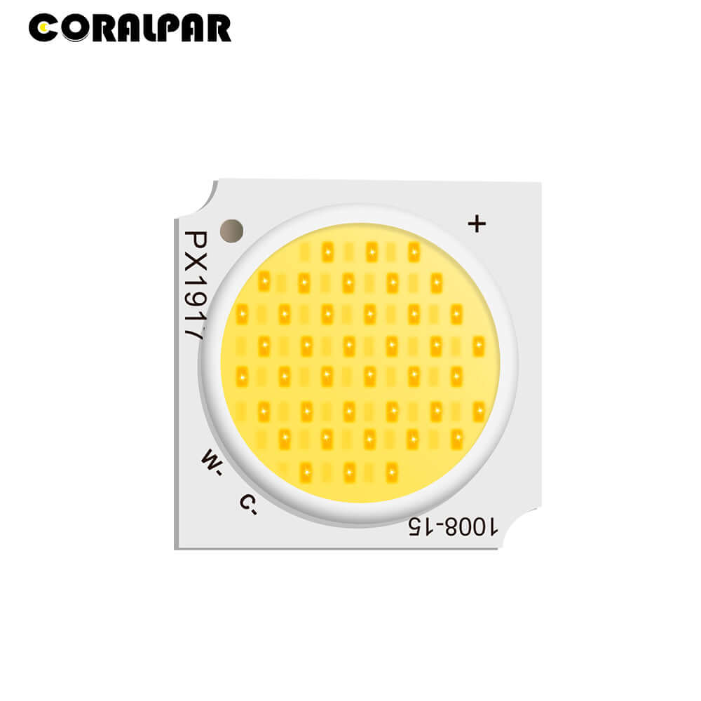 CORALPAR Waterproof LED COB 200W Cool White & Warm White Par Light Aluminum Alloy
