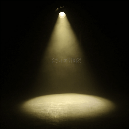 SHEHDS 200W Dual Color COB Zoom Par Light with Barndoors, Warm & Cool White, DMX512 Stage Light